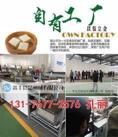 河南商丘豆腐皮機(jī)采購指南 廠家直銷、商用價(jià)格與購買渠道